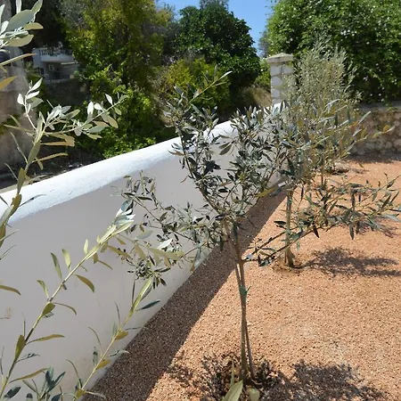 Maria Christina Apartment Faliraki